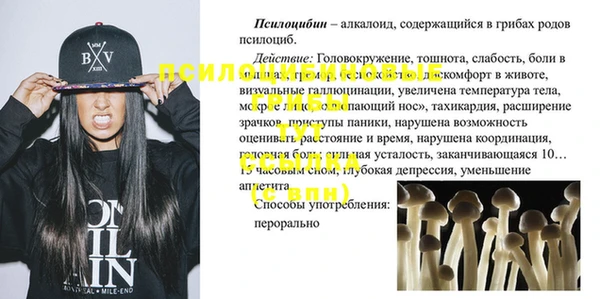 хмурый Бронницы