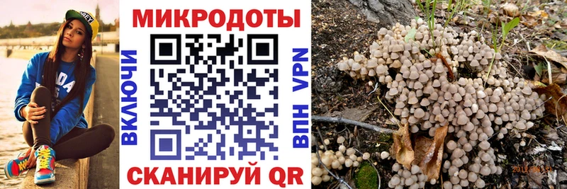 hydra   что такое наркотик  Северодвинск  Галлюциногенные грибы Psilocybine cubensis 